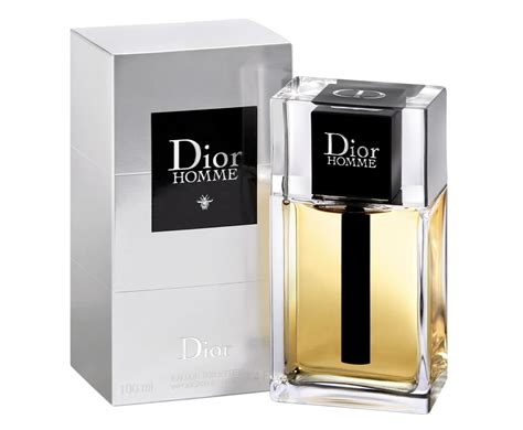 is dior homme for summer|Dior Homme 2020 review.